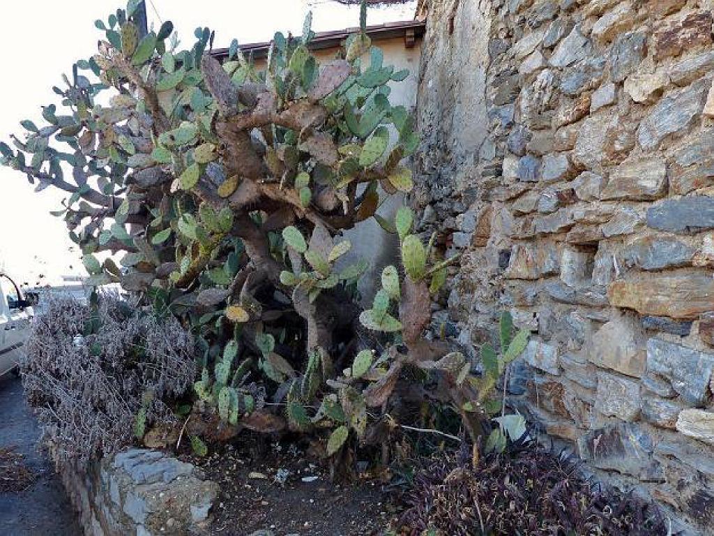 183 ILE DE PORQUEROLLES -2_000033.jpg